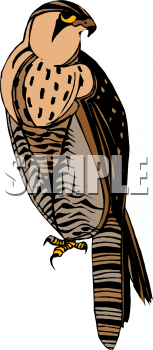 Bird Clipart