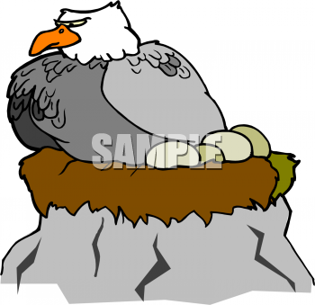 Bird Clipart