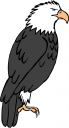 Bird Clipart