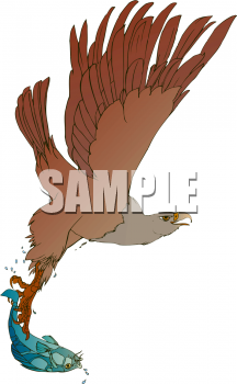 Bird Clipart