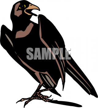 Bird Clipart