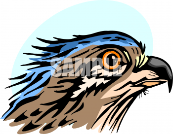 Bird Clipart