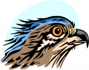 Bird Clipart