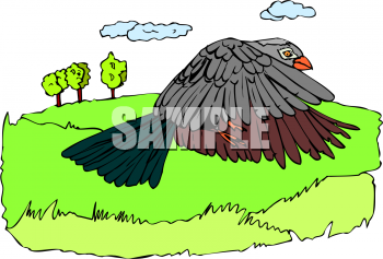 Bird Clipart