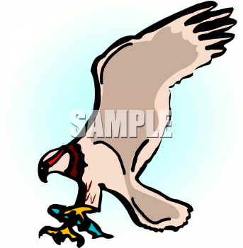 Bird Clipart
