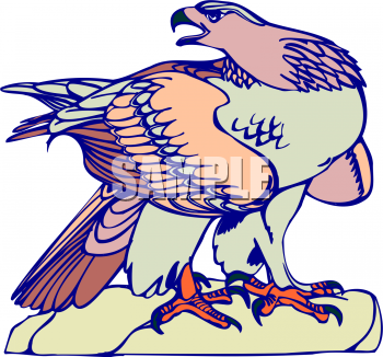Bird Clipart