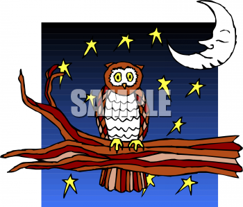 Bird Clipart