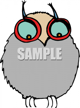Bird Clipart
