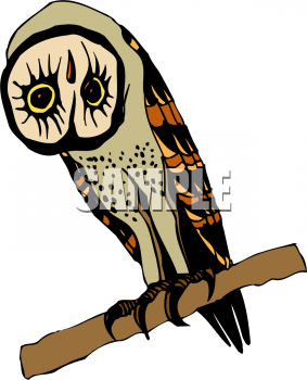 Bird Clipart