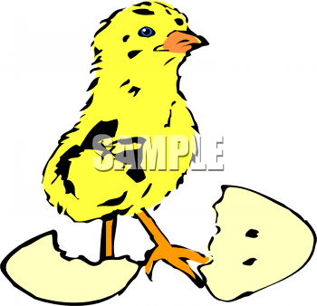 Bird Clipart