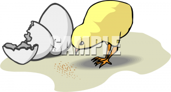 Bird Clipart