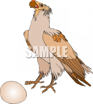 Bird Clipart