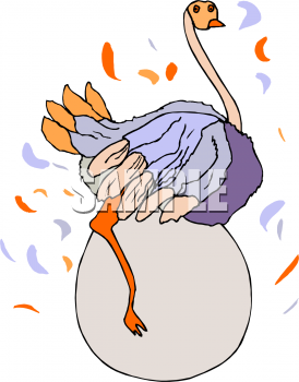 Bird Clipart