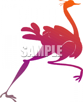 Bird Clipart