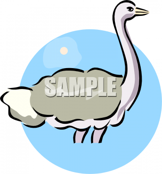 Bird Clipart