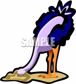 Bird Clipart