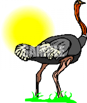 Bird Clipart