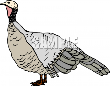 Christmas Clipart