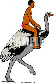 Bird Clipart