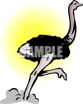 Bird Clipart