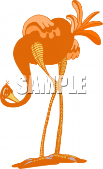 Bird Clipart