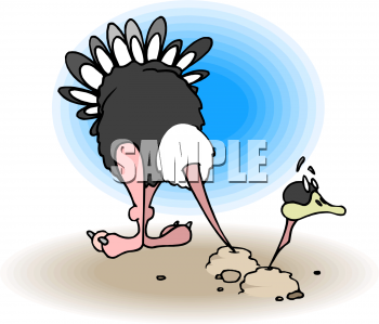 Bird Clipart