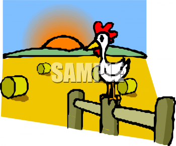 Bird Clipart