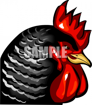 Bird Clipart