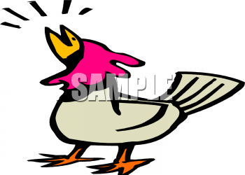 Bird Clipart