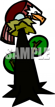 Bird Clipart