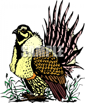 Bird Clipart