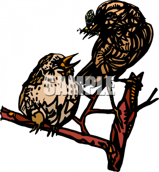 Insect Clipart
