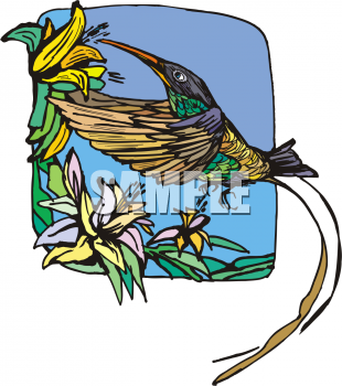Bird Clipart