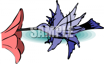 Bird Clipart