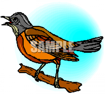 Bird Clipart