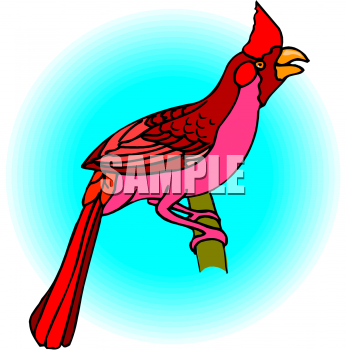 Bird Clipart