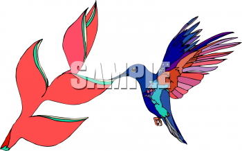 Bird Clipart
