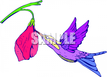 Bird Clipart