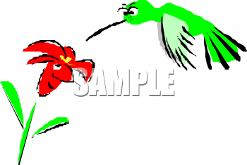 Bird Clipart
