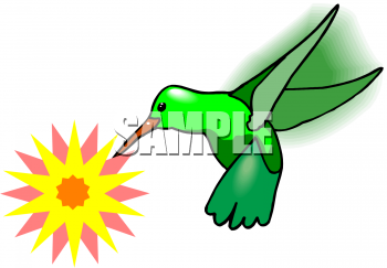 Bird Clipart