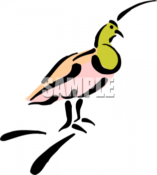 Bird Clipart