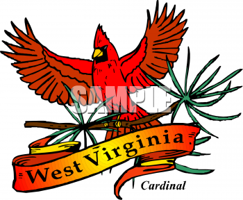 Bird Clipart