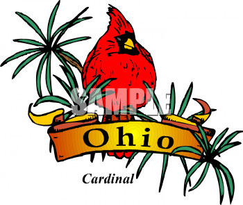 Bird Clipart