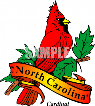 Bird Clipart