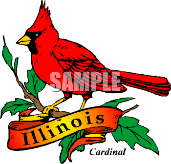 Bird Clipart