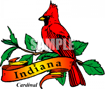 Bird Clipart