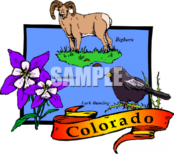 Bird Clipart