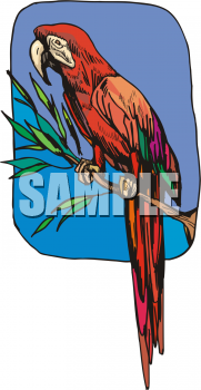 Bird Clipart