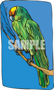 Bird Clipart