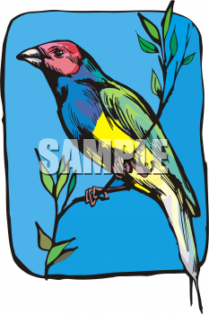 Bird Clipart
